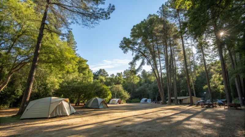 A serene campsite with tents and trees